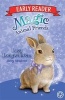 Lucy Longwhiskers, Book 1 (Paperback) - Daisy Meadows Photo