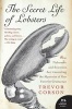 The Secret Life of Lobsters - How Fishermen and Scientists Are Unraveling the Mysteries of Our Favorite Crustacean (Paperback, 1st Harper Perennial ed) - Trevor Corson Photo