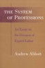 The System of Professions - Essay on the Division of Expert Labour (Paperback) - Andrew Abbott Photo