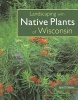 Landscaping with the Native Plants of Wisconsin (Paperback) - Lynn Steiner Photo