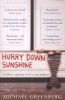 Hurry Down Sunshine - A Father's Memoir of Love and Madness (Paperback) - Michael Greenberg Photo