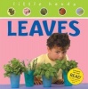 Leaves (Hardcover) - Ruth Thomson Photo