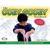 The Ooey Gooey Handbook - Identifying and Creating Child-Centered Environments (Paperback) - Lisa Murphy Photo