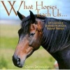 What Horses Teach Us - Life's Lessons Learned from Our Equine Friends (Hardcover) - Glenn Dromgoole Photo