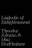 Dialectic of Enlightenment (Paperback) - Theodor Adorno Photo