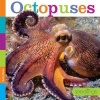 Octopuses (Hardcover) - Kate Riggs Photo