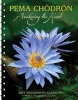  2017 Engagement Calendar - Awakening the Heart (Calendar) - Pema Chodron Photo