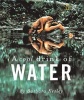 A Cool Drink of Water (Paperback) - Barbara Kerley Photo