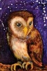 "Twinkle Twinkle Little Owl" by Esther M. Smith Art of Life Journal (Blank / Lin (Paperback) - Esther M Smith Photo