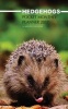 Hedgehogs Pocket Monthly Planner 2017 - 16 Month Calendar (Paperback) - David Mann Photo