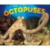 Octopuses (Hardcover) - Elizabeth R Johnson Photo