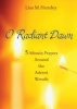 O Radiant Dawn - 5-minute Prayers Around the Advent Wreath (Paperback) - Lisa Hendey Photo