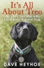 It's All About Treo - Life and War with the World's Bravest Dog (Paperback) - Dave Heyhoe Photo