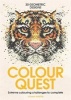 Colour Quest (Paperback) - Joanna Webster Photo