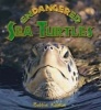 Endangered Sea Turtles (Paperback) - Bobbie Kalman Photo