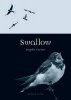 Swallow (Paperback) - Angela Turner Photo