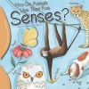 How Do Animals Use Their Five Senses? (Paperback) - Rocio Bonilla Photo