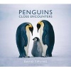 Penguins - Close Encounters (Hardcover) - David Tipling Photo