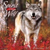 Spirit of the Wolf (Calendar) - Willow Creek Press Photo