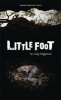 Little Foot (Paperback) - Craig Higginson Photo