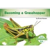 Becoming a Grasshopper (Hardcover) - Grace Hansen Photo