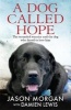 A Dog Called Hope - The Wounded Warrior and the Dog Who Dared to Love Him (Hardcover) - Damien Lewis Photo