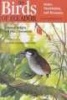 The Birds of Ecuador, Vol I: Status, Distribution, and Taxonomy (Paperback) - Robert S Ridgely Photo