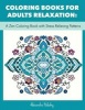 Coloring Books for Adults Relaxation - A Zen Coloring Book with Stress Relieving Patterns (Stress Relief Coloring Book for Adults) (Paperback) - Alexandra Holodny Photo