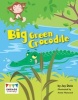 Big Green Crocodile (Paperback) - Jay Dale Photo