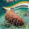 Sea Cucumbers (Hardcover) - Jody S Rake Photo