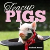 Teacup Pigs (Hardcover) - Richard Austin Photo