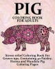 Pig Coloring Book for Adults - Stress-Relief Coloring Book for Grown-Ups, Containing 40 Paisley, Henna and Mandala Pig Coloring Pages (Paperback) - Coloring Books Now Photo