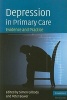 Depression in Primary Care - Evidence and Practice (Paperback, New title) - Simon Gilbody Photo