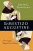 The Mestizo Augustine - A Theologian Between Two Cultures (Paperback) - Justo L Gonzalez Photo