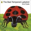 The Bad-Tempered Ladybird (Board book) - Eric Carle Photo