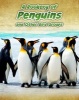 Rookery of Penguins - And Other Bird Groups (Hardcover) - Jilly Hunt Photo