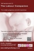 The Labour Companion - For a Better Birth Experience (CD) - Maggie Howell Photo