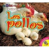 Los Pollos (English, Spanish, Hardcover) - Aaron Carr Photo