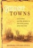 Ghost Towns - And Other Quirky Placdes in the New Jersey Pine Barrens (Paperback, illustrated edition) - Barbara Solem Stull Photo