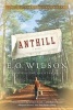 Anthill - A Novel (Paperback) - Edward O Wilson Photo