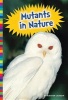 Mutants in Nature (Hardcover) - Kirsten W Larson Photo