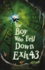 The Boy Who Fell Down Exit 43 (Paperback) - Harriet Goodwin Photo