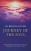 Journey of the Soul - Awakening Ourselves to the Enduring Cycle of Life (Paperback, New Ed) - Brenda Davies Photo