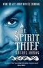 The Spirit Thief (Paperback) - Rachel Aaron Photo