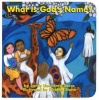 What is God's Name? (Board book) - Sandy Eisenberg Sasso Photo