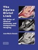 The Equine Distal Limb - An Atlas of Clinical Anatomy and Comparative Imaging (Hardcover) - Jean Marie Denoix Photo