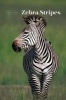 Zebra Stripes (Hardcover) - Tim Caro Photo