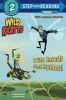 Wild Insects and Spiders! - Wild Kratts (Paperback) - Chris Kratt Photo