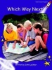 Which Way Next?, Level 3 - Fluency (Paperback, International edition) - John Lockyer Photo