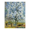 Bonnard Keepsake Box of Notecards (Cards) - Pierre Bonnard Photo